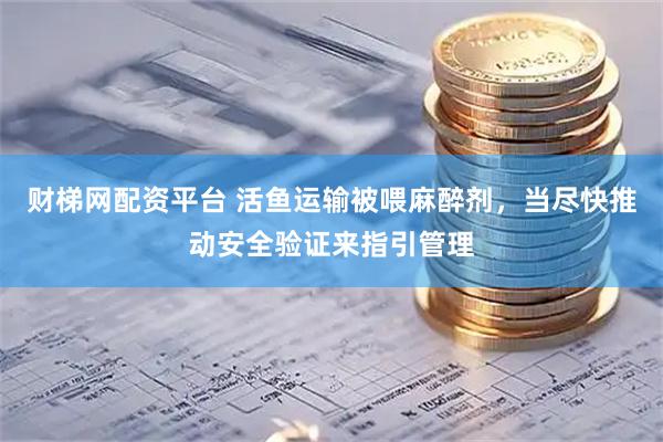 财梯网配资平台 活鱼运输被喂麻醉剂，当尽快推动安全验证来指引管理